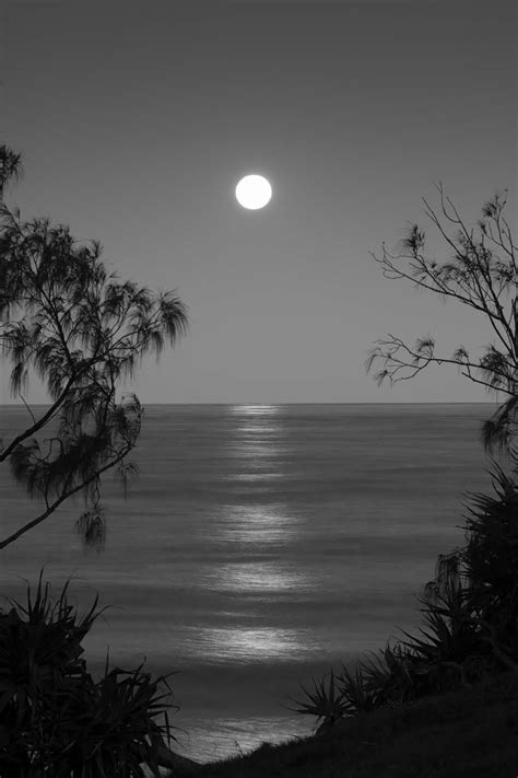 full moon black and white - Brad Baker Photography