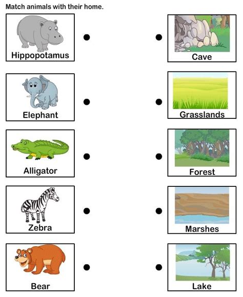 Animals And Its Habitat Worksheets