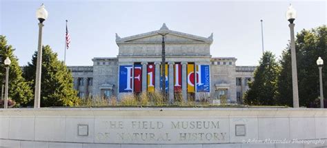 Free Museum Days in Chicago | Free Admission to Chicago Museums ...