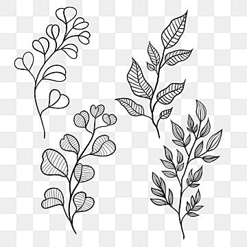 Herbs Vector PNG, Vector, PSD, and Clipart With Transparent Background for Free Download | Pngtree