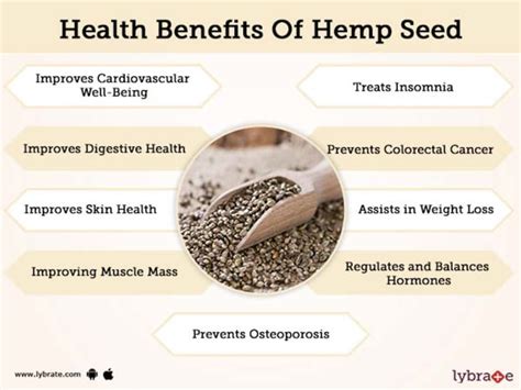 Hemp Seed Oil Benefits And Side Effects » CBD Oil Treatments