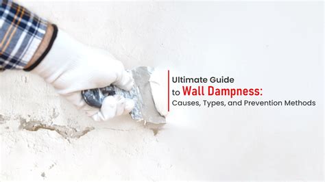 Your Ultimate Guide to Wall Dampness: Causes, Types, and Prevention Methods