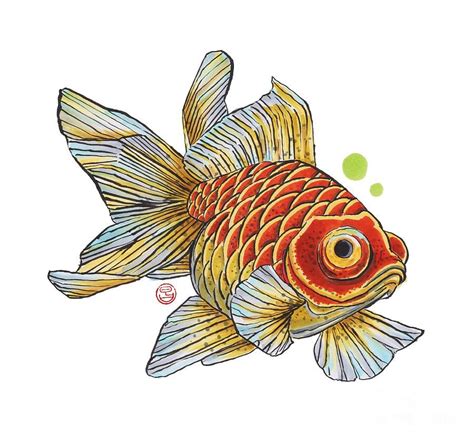 Goldfish art, Fish art, Fish drawings