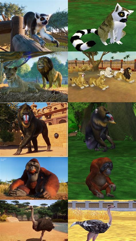 A comparison of Planet Zoo animals and their Zoo Tycoon 2 counterparts : PlanetZoo