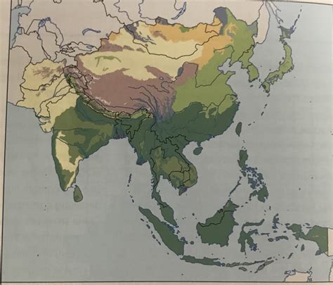 South and East Asia Biomes Diagram | Quizlet