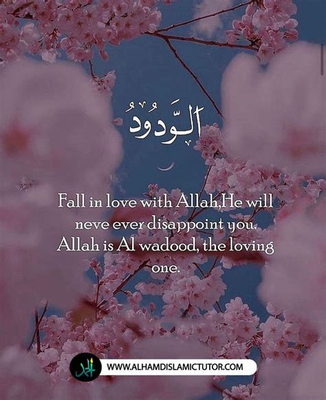 Discover the Love of Allah