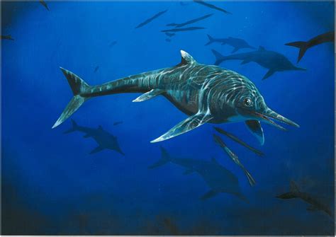 Rare ichthyosaur is only second known example