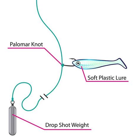 Drop Shot Rig Fishing (Setup, Knots, Baits & Tips)