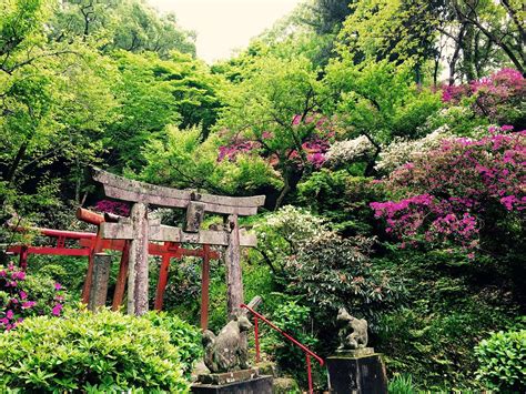 THE 20 BEST Things to Do in Dazaifu - 2022 (with Photos) - Tripadvisor