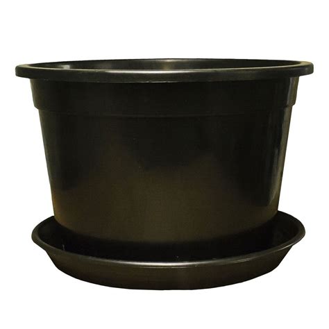 Plant Pot Tree Shrub Plastic Planter Pots with Reinforced Rim and Saucers | eBay | Potted trees ...