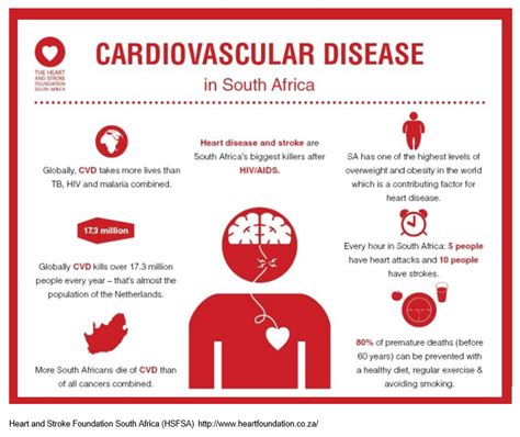 Cardiovascular disease – preventable, avoidable and unnecessary! | The ...