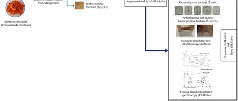 A schematic diagram of experimental design. | Download Scientific Diagram