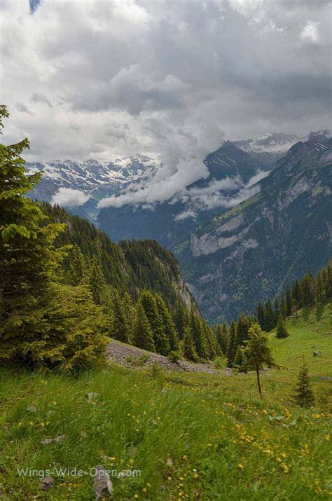 Wings Wide Open: Hiking the Swiss Alps