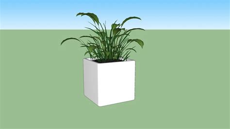 PLANT SMALL | 3D Warehouse