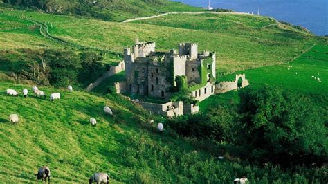 Clifden Castle, Ireland - backiee