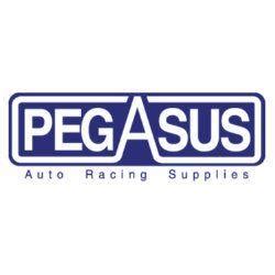 Pegasus Racing Logo - LogoDix