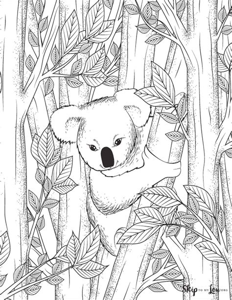 Koala Coloring Pages | Coloring pages, Koala, Coloring pictures
