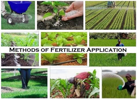 Popular 17 Methods of Fertilizer Application in Agriculture - Basic ...