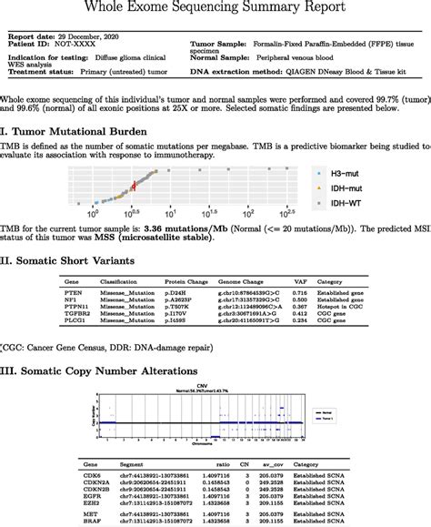 Example whole exome sequencing summary report | Download Scientific Diagram