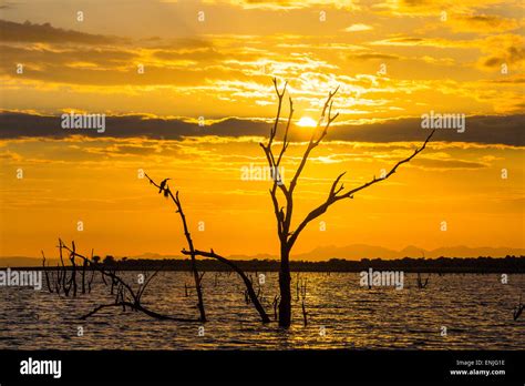 Sunset on Lake Kariba, Zimbabwe Stock Photo - Alamy