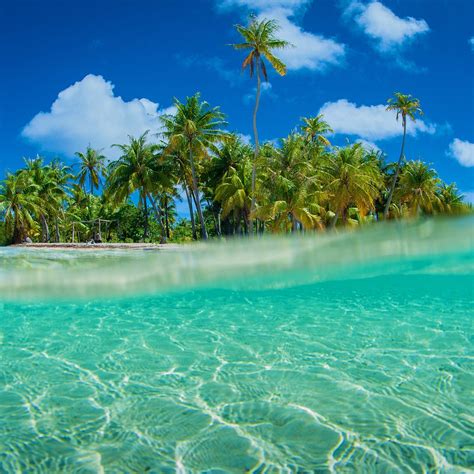 Vacation Places, Vacation Spots, Bora Bora, Most Beautiful Beaches, Beautiful Places, Nature ...