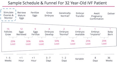 The Steps and Decisions In The IVF Process - FertilityIQ