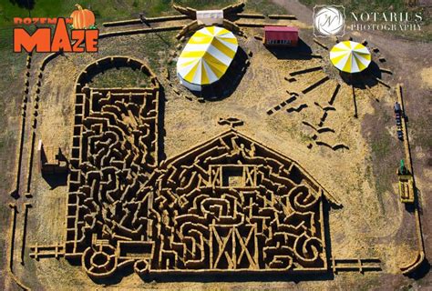 Huge maze built out of straw bales! | Hay maze, Straw bales, Maze