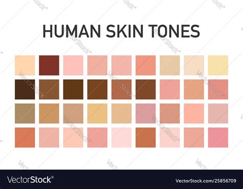 Human Skin Tone Color Palette Set Isolated Vector Image 73260 | The Best Porn Website
