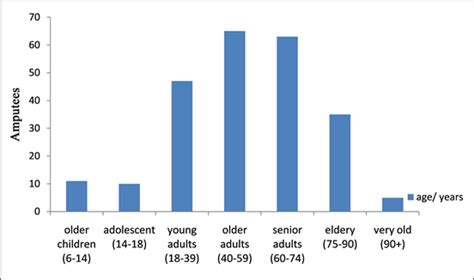 Major Limb Amputations: Etiological and Clinical Profile in a Hospital ...