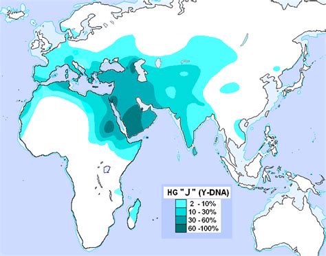 Haplogroup J (Y-DNA) | Cartes, Genealogie, Dessin