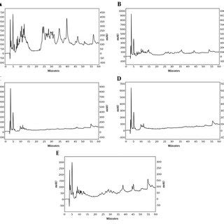 Reversed-phase HPLC profiles of fractions resulting from... | Download Scientific Diagram