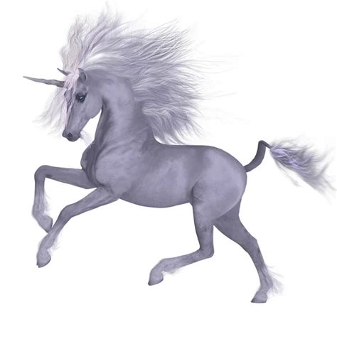 Unicorn over White — Stock Photo © CoreyFord #53620219