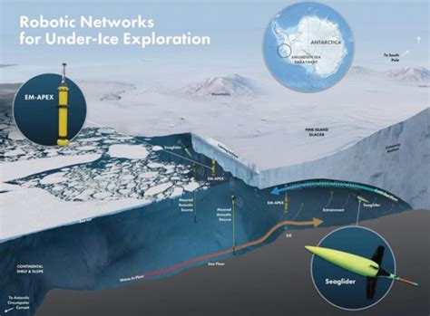 Scientists will study Antarctic ice shelves with $2M boost from Paul Allen