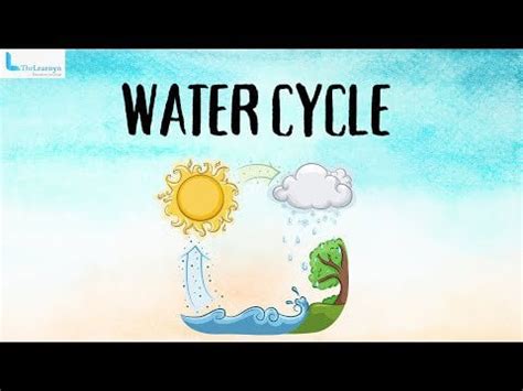 Water Cycle | Geography | Animation Video | Thelearnyn #education # ...