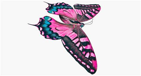 Butterfly Pink 3D Model $19 - .blend .obj .dae .fbx - Free3D