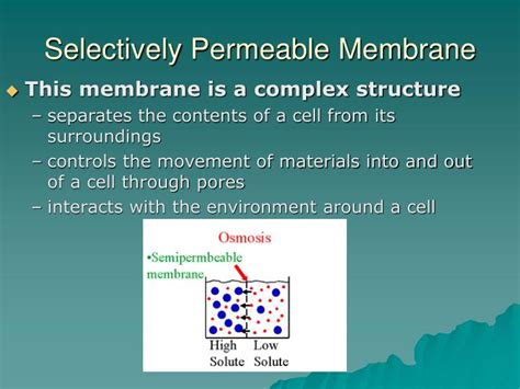 PPT - Diffusion, Osmosis & Active Transport PowerPoint Presentation - ID:3428296