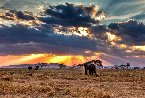 Serengeti National Park | Dreamy places