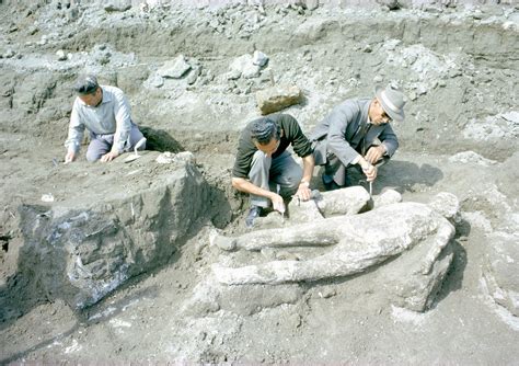 Excavating Pompeii | Nat Geo Photo of the Day