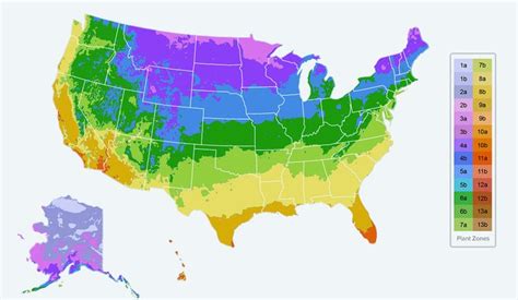 Planting Zones Map - Find Your Plant Hardiness Growing Zone | Planting ...