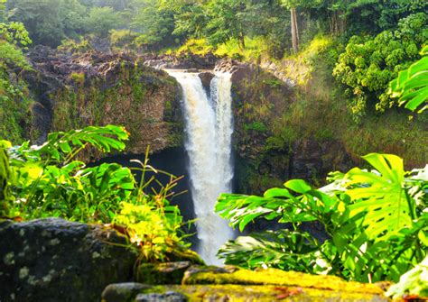 Hilo Waterfall Tour | Hawaii Sightseeing Tours