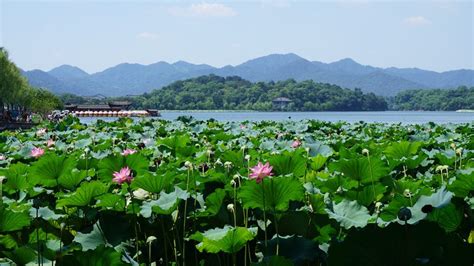 Hangzhou West Lake and Its Legends - China - Amateur Traveler