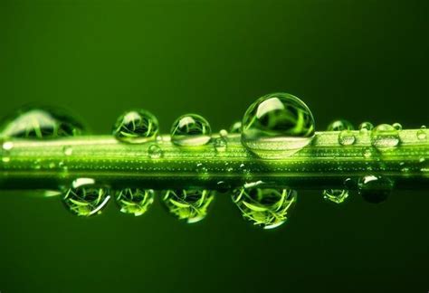 Amazing Macro Nature Photography