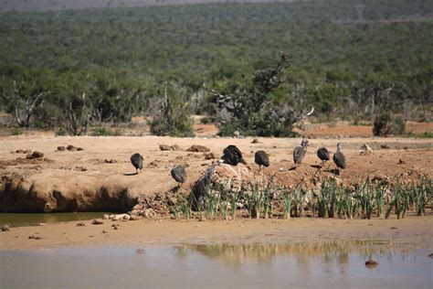 #MyAddo – Addo National Park