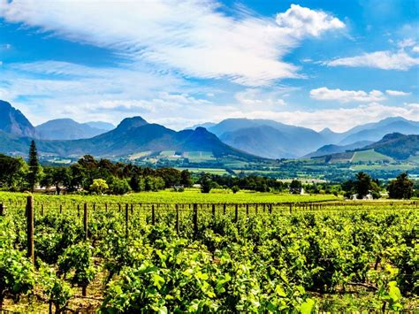 Winelands holidays - South Africa - Steppes Travel