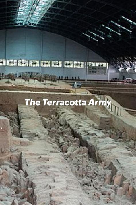 The Terracotta Army | Terracotta army, Terracotta, Chinese history