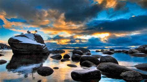 Bonsai Rock – Bing Wallpaper Download