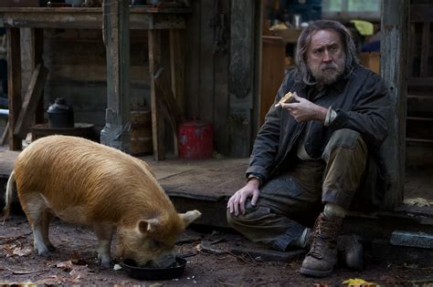 “Pig,” Reviewed: Nicolas Cage Is the Only Reason to Watch | The New Yorker