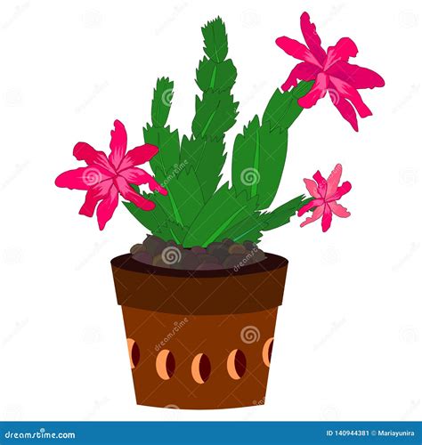 Thanksgiving Cactus stock vector. Illustration of opuntia - 140944381