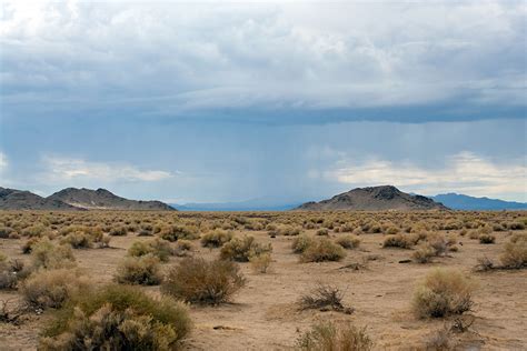 Ian Smissen's Travel Diary: Mojave Desert