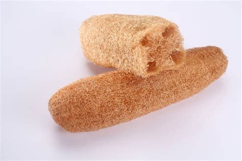 Loofah Stock Images - Download 4,220 Royalty Free Photos